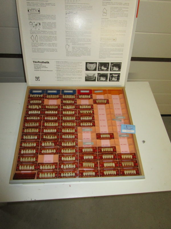 DeTrey Bioplus Frontzähne Dental Zahntechnik 01422