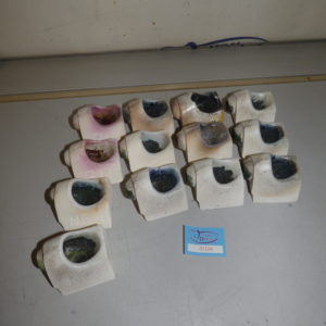 Degudent Tiegel NEM Dental Zahnrtechnik 01536