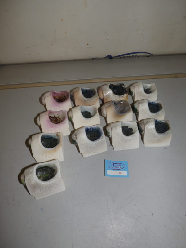 Degudent Tiegel NEM Dental Zahnrtechnik 01536